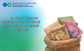 За якими кодами бюджетної класифікації сплачується акцизний податок?